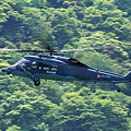 2010_06_06 経ヶ岬基地祭（UH-60J）