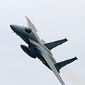2010_06_06 経ヶ岬基地祭（F-15J）