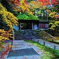 京都　哲学の道と法然院の紅葉