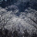 凍てつく…　北海道冬景色