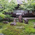 京の庭