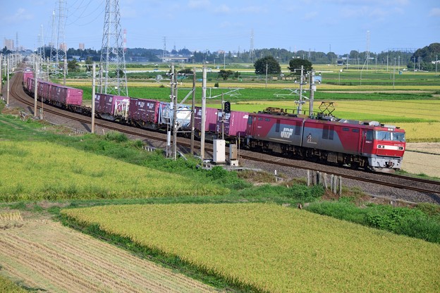 EH500電気機関車牽引貨物列車