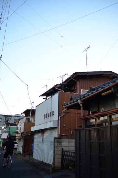 屋根のテレビアンテナが印象的な民家の風景