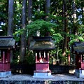 Photos: 日隆社 愛宕社 天津神社