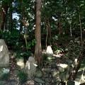 Photos: しめ飾りのある石碑