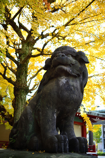 千住 稲荷神社の狛犬