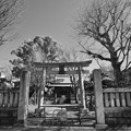 Photos: 千住 氷川神社