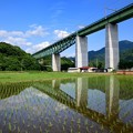 鉄橋と水鏡の田んぼ