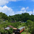 Photos: 里山トロッコ列車
