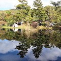 Photos: 駒出池キャンプ場