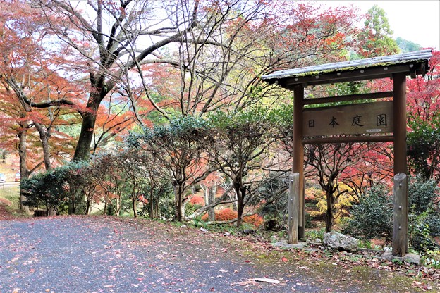 日本庭園入口
