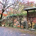 Photos: 日本庭園入口
