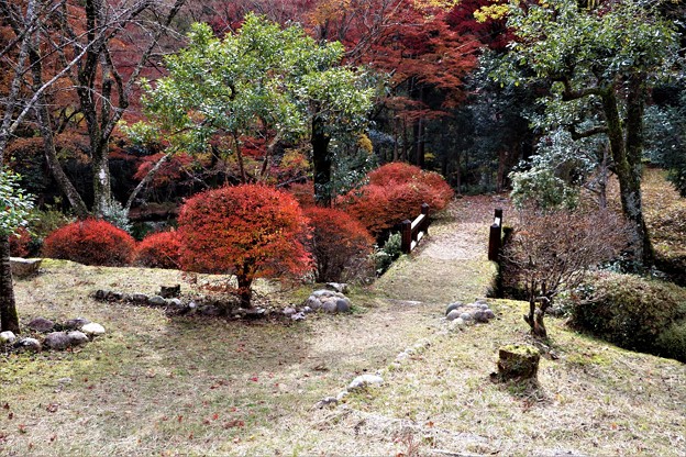 Photos: 日本庭園散策路
