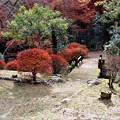日本庭園散策路
