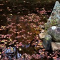 Photos: 池に浮かぶ落葉が