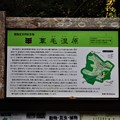 Photos: 国指定天然記念物・葦毛湿原
