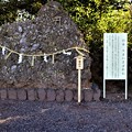 Photos: 日本一大きいさざれ石