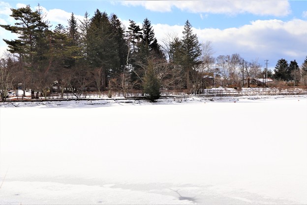 全面凍結の蓼科湖の湖面