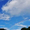 Photos: Over the Rainbow