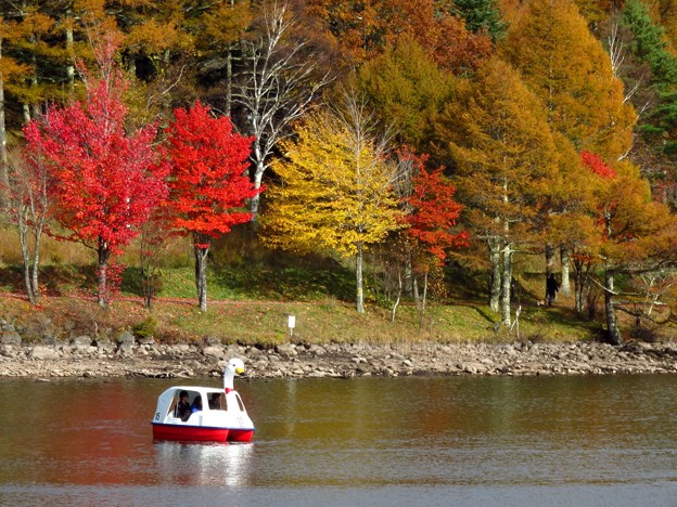 対岸の紅葉とスワンボート。