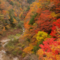渓谷の紅葉は色深く。