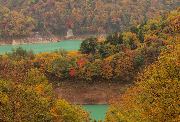 ダム湖に彩る木々の色。