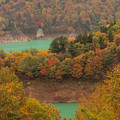 ダム湖に彩る木々の色。