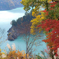 きらきらダム湖の秋。