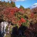 紅葉が飾る滝。