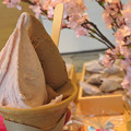 Photos: 桜ミルク＆ヘーゼルナッツチョコレートジェラート。