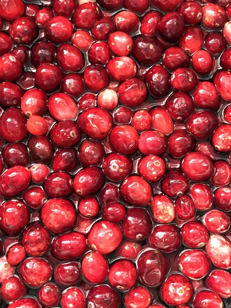 Photos: Cranberries