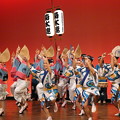 Photos: 高円寺阿波踊り