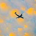 Photos: 焼ける雲の中を飛ぶ