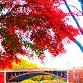 Photos: 紅葉と橋