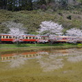 Photos: 国鉄型車両と桜の水鏡