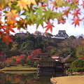 Photos: 秋の庭園d