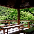 Photos: 緑に染まる-京都市左京区：貴船神社