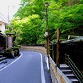 Photos: 料理旅館-京都市左京区：貴船神社