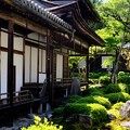 緑の庭園-大阪府河内長野市：金剛寺