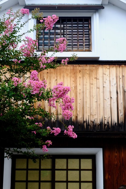 Photos: 今年の夏-奈良県五條市：五條新町