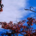 Photos: 秋の空-奈良県野迫川村：平