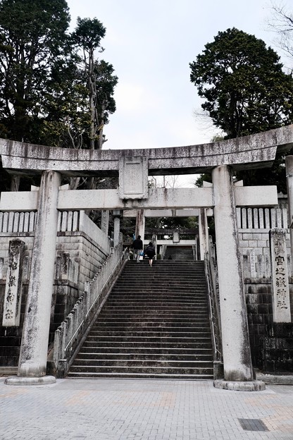 石段を登って-福岡県福津市：宮地嶽神社