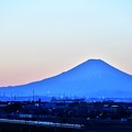 E217系と夕暮れ富士山