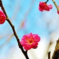 Photos: 春の気配