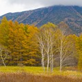 Photos: 秋の戦場ヶ原と雲に隠れる男体山