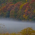 Photos: 霧立ち込める秋の島田湖風景