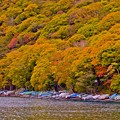 Photos: 秋彩の中禅寺湖湖畔風景