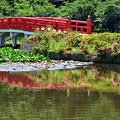 Photos: ツツジと赤い橋