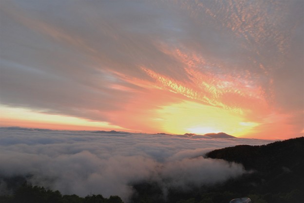 Photos: 雲海と日の出