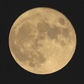 Photos: 満月です～♪